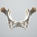 Hyoid bone CT analysis estimates sex with 93.8 percent accuracy in forensic study