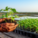Snake Bean and Cucumber Show Strong Salinity Tolerance at Germination in Coastal Bangladesh Study