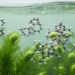 Antibiotic-Metal Complexes Prove More Toxic to Freshwater Algae Than Either Contaminant Alone