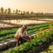 Coastal Bangladesh farmers diversify crops to survive salt, but benefits are unevenly shared