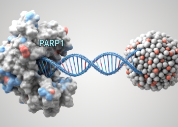 PARP1 Disassembles Nucleosomes to Open DNA for Repair