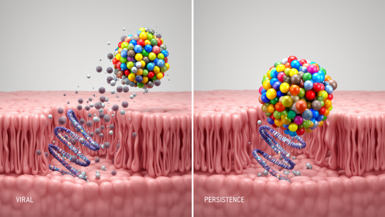Cervicovaginal Lipid Signatures Linked to HPV Clearance or Persistence in Pilot Study