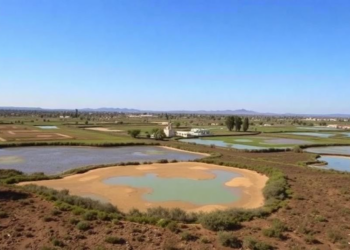 Where Wetlands Feed and Farms Sustain: Mapping the Hidden Multifunctionality of a Spanish Landscape
