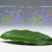 Chemical Fingerprint Offers a Way to Tell Two Look-Alike Yew Species Apart