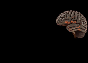 Landmark Meta-Analysis Maps the Hidden Psychiatric Burden of Neurofibromatosis Type 1