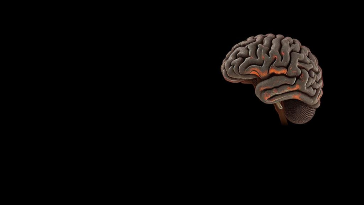Landmark Meta-Analysis Maps the Hidden Psychiatric Burden of Neurofibromatosis Type 1