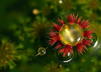 Cyanotoxins and Pollutants Interact in Surprising Ways in Freshwater Algae