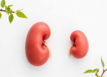 High PFOS Levels Linked to Higher Kidney Cancer Odds in Okinawa Study