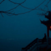 Opus Magnum grants fund homoerotic verse and Chinese internet poetry studies
