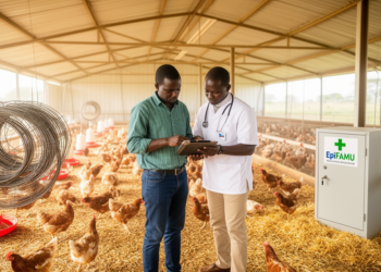 EpiFAMU links farm management with poultry antimicrobial use in Zambia