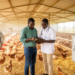 EpiFAMU links farm management with poultry antimicrobial use in Zambia