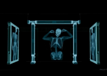 X-rays reveal how Paulus Potter stretched and enlarged his monumental canvases