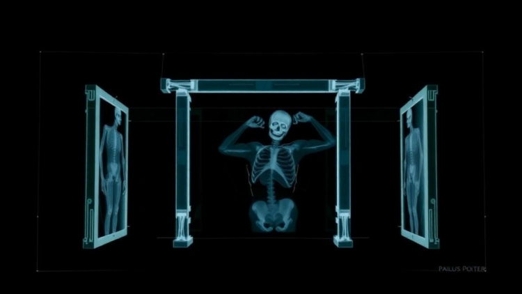 X-rays reveal how Paulus Potter stretched and enlarged his monumental canvases