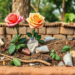 Rural waste segregation rose across phases of a village material recovery facility