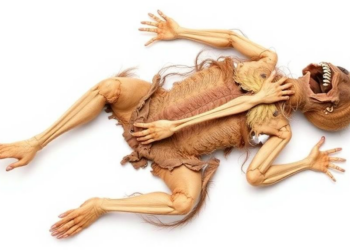 What Wild Animals Do to Human Bodies: 25 Years of Greek Forensic Cases Reveal Scavengers’ Secret Patterns