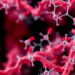 Computer-designed acridine compounds show predicted binding to breast cancer estrogen receptor