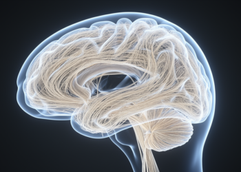 White Matter Tracts Show Subtle Changes in the Months After Anorexia Hospitalization