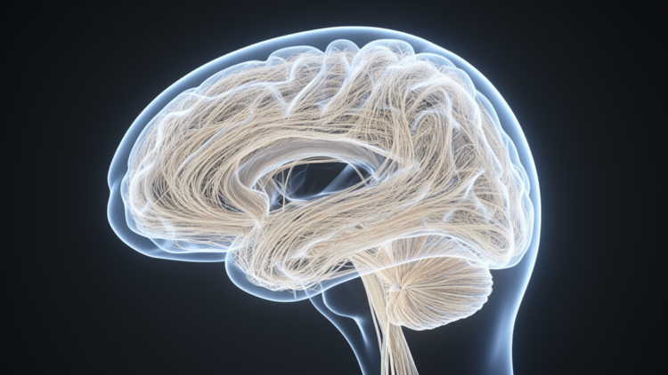 White Matter Tracts Show Subtle Changes in the Months After Anorexia Hospitalization