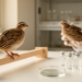 Common Pesticides Combined Damage Livers and Behavior in Quails
