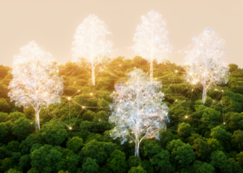 AI paints fake forests to sharpen real forest image classification