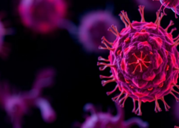 Immune Receptor LAIR1 Slows Leukemia Cell Growth by Triggering Cell Cycle Arrest and Apoptosis