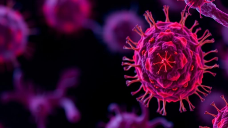 Immune Receptor LAIR1 Slows Leukemia Cell Growth by Triggering Cell Cycle Arrest and Apoptosis