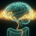 Gut Infections Leave Long-Lasting Immune Memory at the Brain’s Border