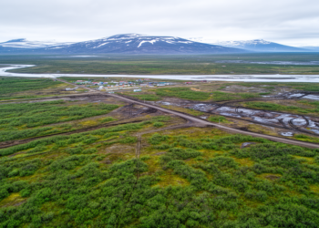 Human Disturbance Is Eroding Climate-Driven Greening Across the Arctic
