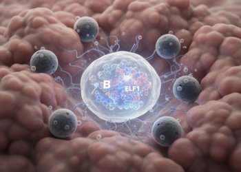 Multi-omics study links ELF1 to B-cell states in breast cancer