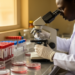 High rifampicin resistance found among tuberculosis cases in Benin City