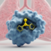 New Chalcone Compound B15 Eases Acute Lung Injury in Mice by Blocking p38 MAPK Signaling