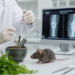 Chinese polyherbals show preliminary benefits in diabetic osteoporosis