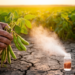Low-Dose Copper and Zinc Oxide Nanoparticles Lift Soybean Yields Under Drought