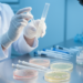 Halogenated Azabicyclo Hydrazones Show Strong Antimicrobial Activity in Lab Tests