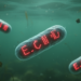 High-risk antibiotic resistance genes found in E. coli from Taihu Lake watershed waters
