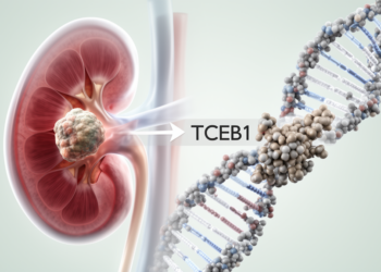 Case Report Identifies New TCEB1 Variant in Rare Kidney Cancer