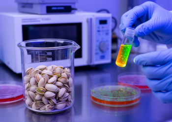 Pistachio shells turned into glowing carbon dots with antioxidant and antibacterial power in five minutes