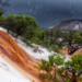 Extreme rainfall remobilizes mining tailings metals and stresses coastal Restinga plants
