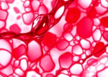 Plaque Burden Outlasts Ischemia as Long-Term Predictor of Heart Risk