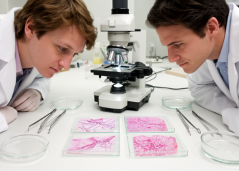 Canine tumors closely model many adult human cancers, study finds