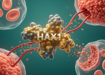 HAX1 review highlights context-dependent roles in cancer progression