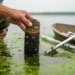Eutrophication Boosts Anammox in Eastern China Plain Lake Sediments