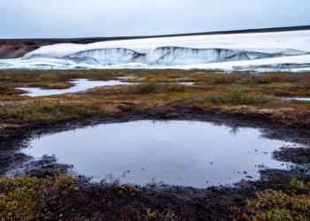 Integrating surface-active layer-permafrost hydrological processes: A systematic review and research framework