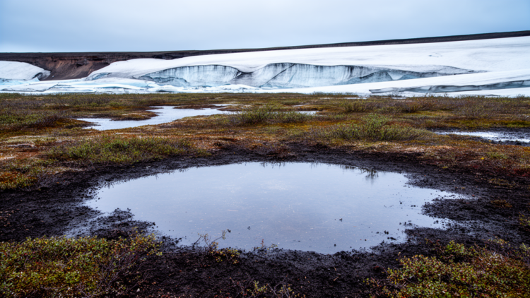 Integrating surface-active layer-permafrost hydrological processes: A systematic review and research framework