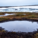 Integrating surface-active layer-permafrost hydrological processes: A systematic review and research framework