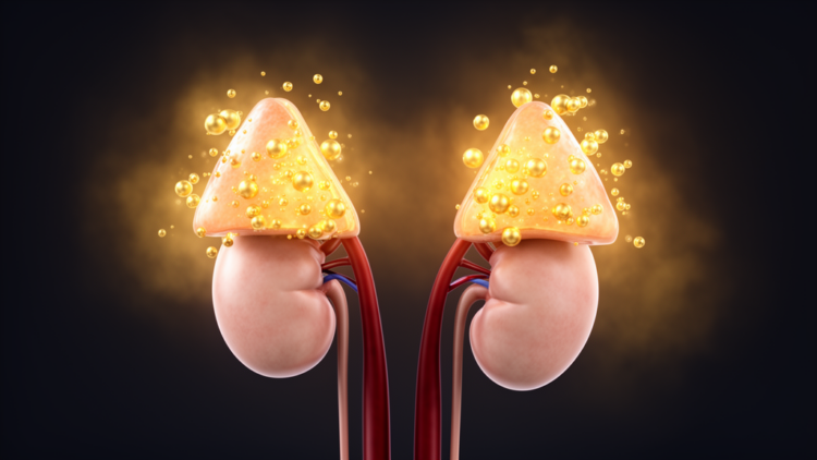 Mild by Name Only: The Hidden Burden of Subtle Cortisol Excess