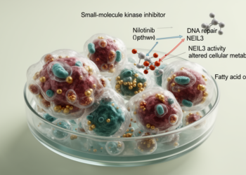 Nilotinib targets NEIL3-driven fatty acid oxidation in preclinical liver cancer study