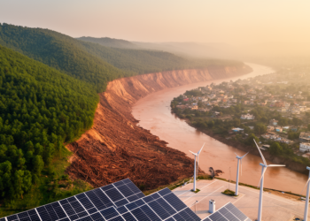 Clean Energy Finance, Deforestation and Disaster Risk Show Asymmetric Links in Pakistan