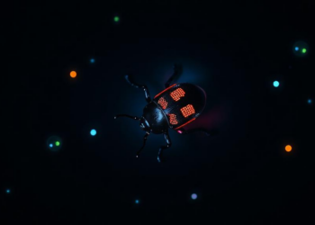 Beetle Secretion Yields Glowing Carbon Dots With Antibacterial and Anticancer Power