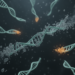 lncRNA decay hypothesis cannot be tested with current half-life coverage